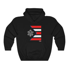 Load image into Gallery viewer, Nuestra Bandera Hoodie Sweatshirt