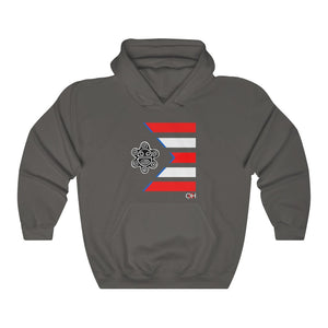 Nuestra Bandera Hoodie Sweatshirt