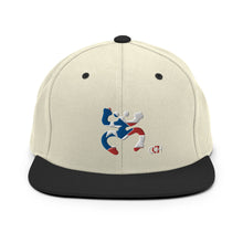 Load image into Gallery viewer, Snapback Coqui Bandera