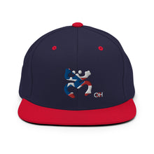 Load image into Gallery viewer, Snapback Coqui Bandera