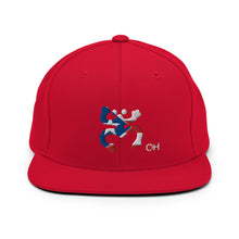 Load image into Gallery viewer, Snapback Coqui Bandera