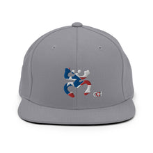 Load image into Gallery viewer, Snapback Coqui Bandera