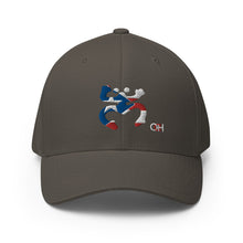 Load image into Gallery viewer, Coqui Bandera FlexFit Hat