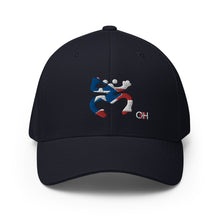 Load image into Gallery viewer, Coqui Bandera FlexFit Hat