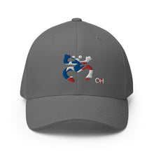 Load image into Gallery viewer, Coqui Bandera FlexFit Hat