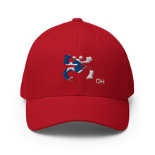 Load image into Gallery viewer, Coqui Bandera FlexFit Hat
