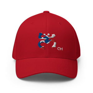 Coqui Bandera FlexFit Hat