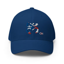 Load image into Gallery viewer, Coqui Bandera FlexFit Hat