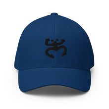 Load image into Gallery viewer, Black Coqui Flexfit Hat