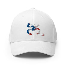 Load image into Gallery viewer, Coqui Bandera FlexFit Hat