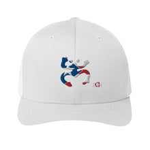 Load image into Gallery viewer, Coqui Bandera Trucker Hat