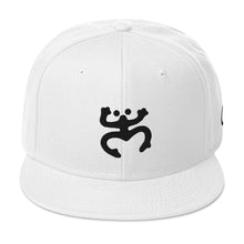 Load image into Gallery viewer, Black Coqui Otto Snapback Hat