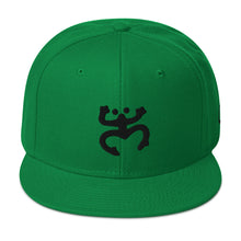 Load image into Gallery viewer, Black Coqui Otto Snapback Hat