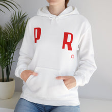 Load image into Gallery viewer, PFKNR Hoodie