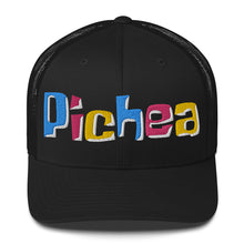 Load image into Gallery viewer, Pichea Trucker Hat