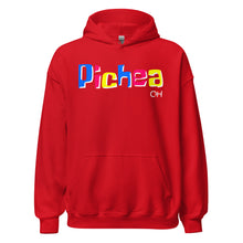 Load image into Gallery viewer, Pichea Hoodie