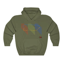 Load image into Gallery viewer, Puerto Rico de Colores Hoodie