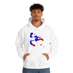 Coqui Bandera Hoodie