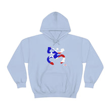 Load image into Gallery viewer, Coqui Bandera Hoodie