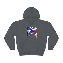 Load image into Gallery viewer, Coqui Bandera Hoodie