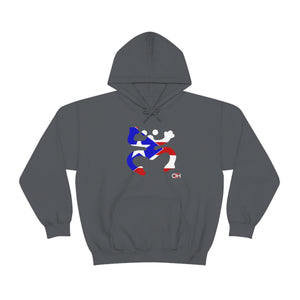 Coqui Bandera Hoodie