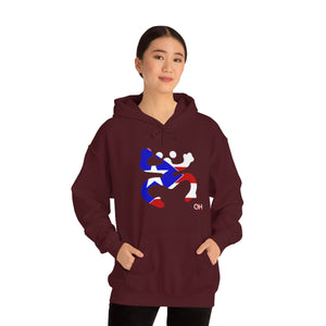 Coqui Bandera Hoodie