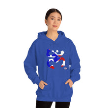 Load image into Gallery viewer, Coqui Bandera Hoodie