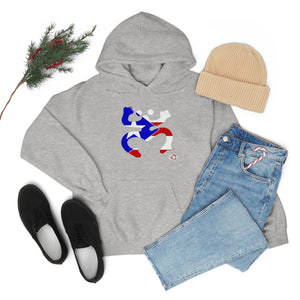 Coqui Bandera Hoodie