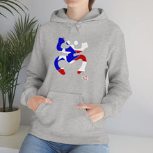 Load image into Gallery viewer, Coqui Bandera Hoodie