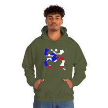 Load image into Gallery viewer, Coqui Bandera Hoodie