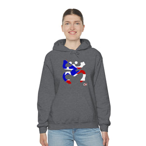 Coqui Bandera Hoodie