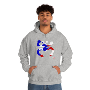 Coqui Bandera Hoodie