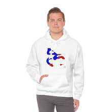 Load image into Gallery viewer, Coqui Bandera Hoodie