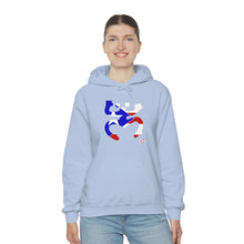 Load image into Gallery viewer, Coqui Bandera Hoodie