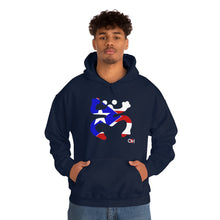 Load image into Gallery viewer, Coqui Bandera Hoodie