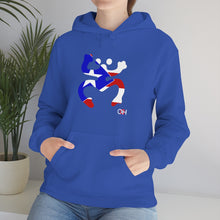 Load image into Gallery viewer, Coqui Bandera Hoodie