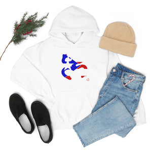 Coqui Bandera Hoodie