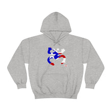 Load image into Gallery viewer, Coqui Bandera Hoodie