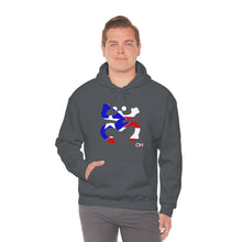 Load image into Gallery viewer, Coqui Bandera Hoodie