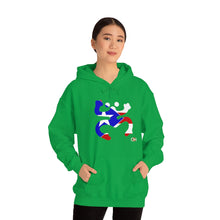 Load image into Gallery viewer, Coqui Bandera Hoodie