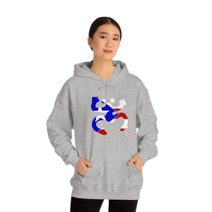 Coqui Bandera Hoodie