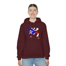 Load image into Gallery viewer, Coqui Bandera Hoodie