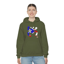 Load image into Gallery viewer, Coqui Bandera Hoodie