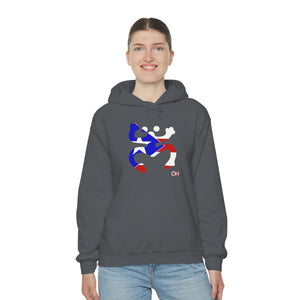 Coqui Bandera Hoodie