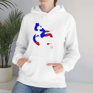 Coqui Bandera Hoodie