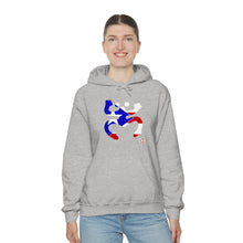 Load image into Gallery viewer, Coqui Bandera Hoodie