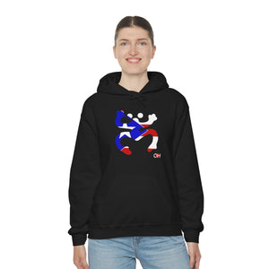 Coqui Bandera Hoodie