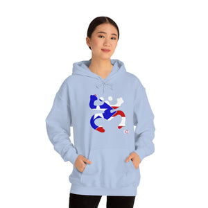 Coqui Bandera Hoodie