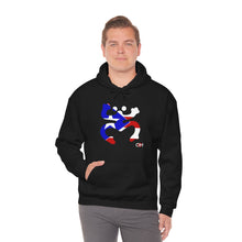 Load image into Gallery viewer, Coqui Bandera Hoodie