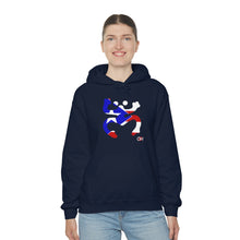 Load image into Gallery viewer, Coqui Bandera Hoodie